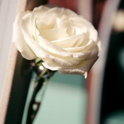 VW Bus-Bulli T1 Samba Deluxe als Hochzeitsauto / T1-Berlin.de