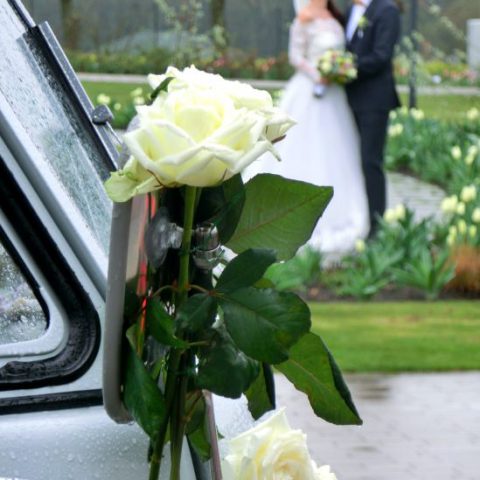 VW Bus-Bulli T1 Samba Deluxe als Hochzeitsauto / T1-Berlin.de